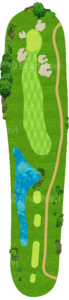 No.5