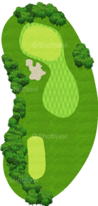 No.6