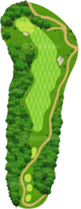 No.6