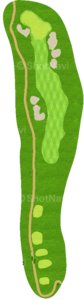 No.7
