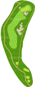 No.7