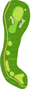 No.8