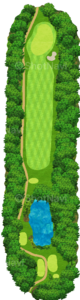 No.6