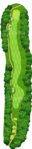 No.7