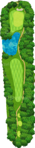 No.8