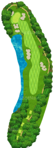 No.8