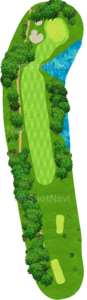 No.7