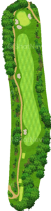 No.6