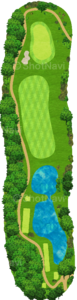 No.8