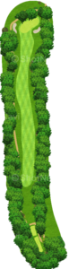 No.7