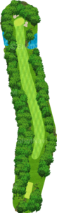 No.5