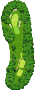 No.8