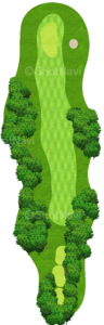 No.8