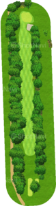 No.5