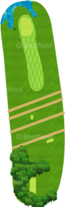 No.6