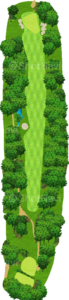 No.5