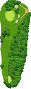 No.6