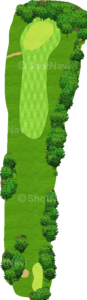 No.8