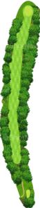 No.5