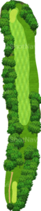 No.6