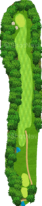 No.6