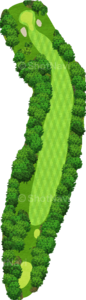 No.7