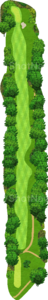 No.5