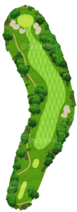 No.8