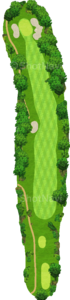 No.7
