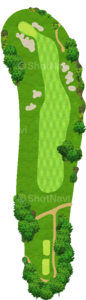 No.8
