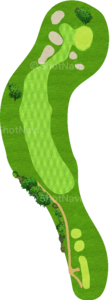 No.7