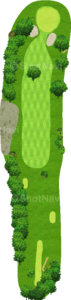 No.7
