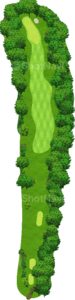 No.7