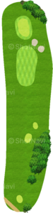 No.6