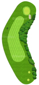 No.7