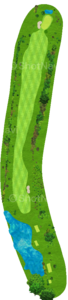 No.6