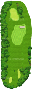 No.5