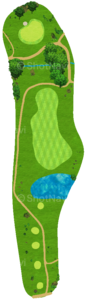 No.7