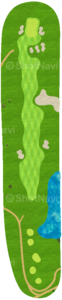 No.5