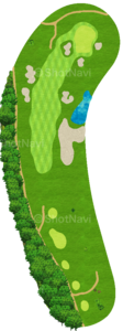No.7