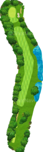No.5