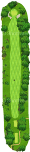 No.5