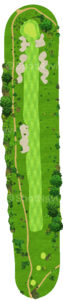 No.5